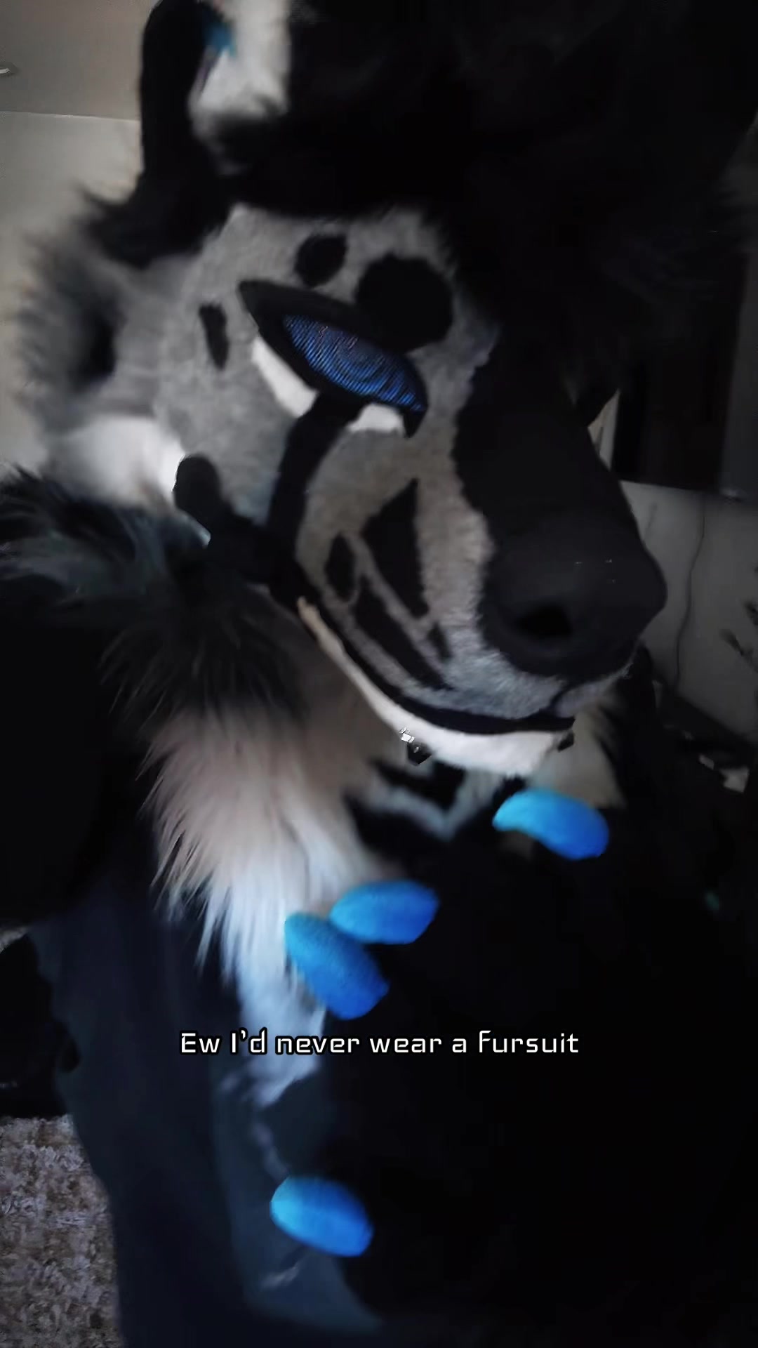 @sonar_hyena_shark