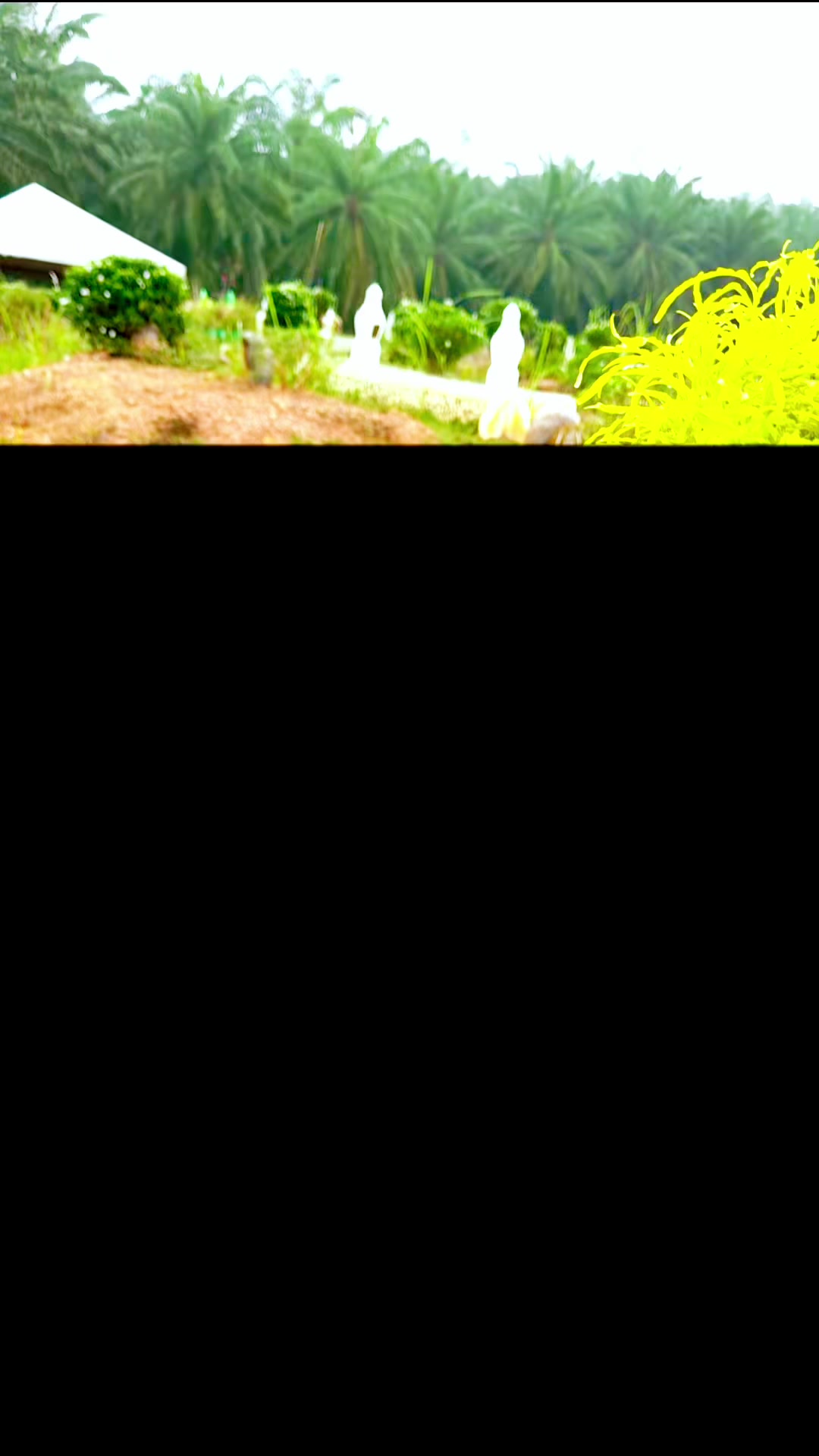 @aleen_CBR