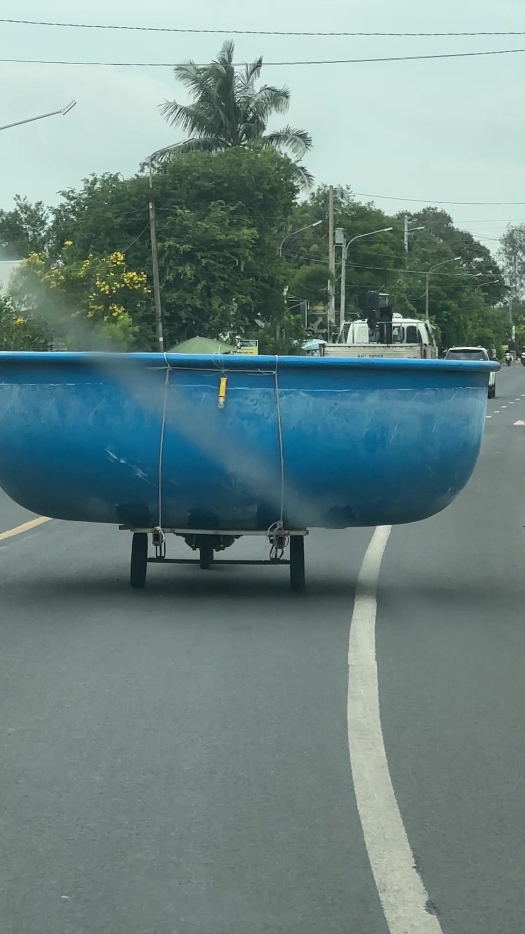 @Văn Hơn 🐝