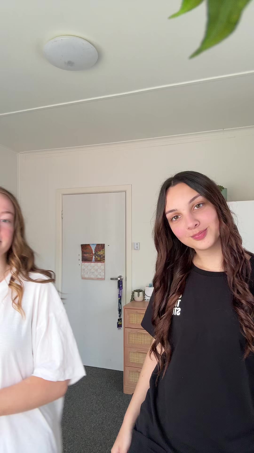 @kaity 🐞