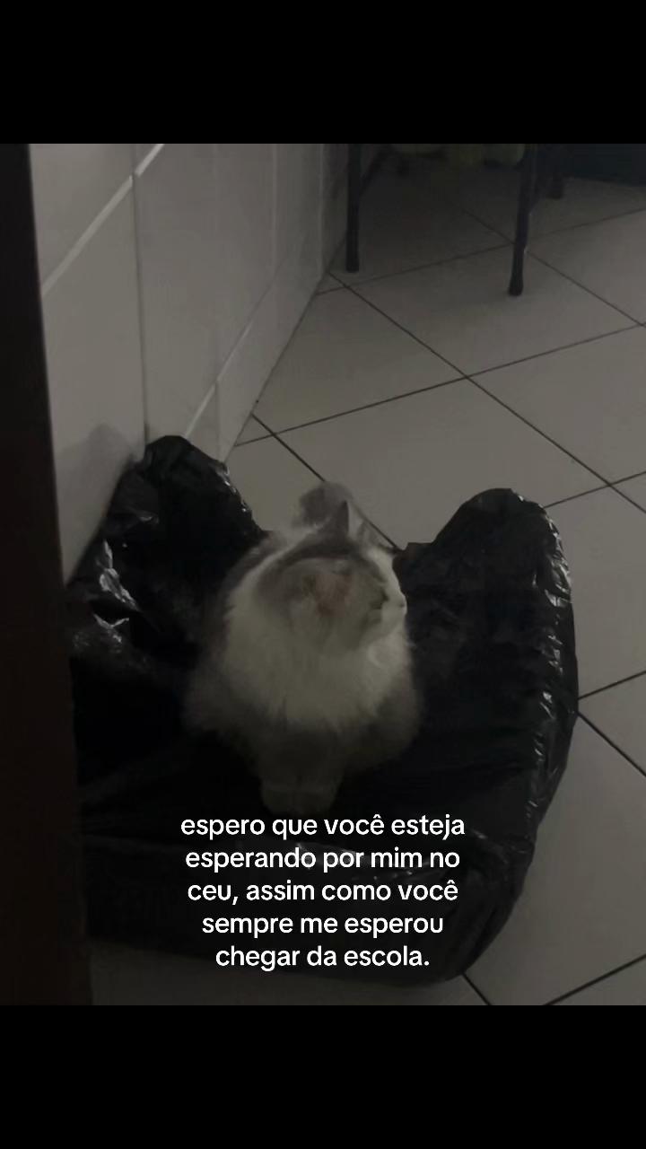 @anne ⛧