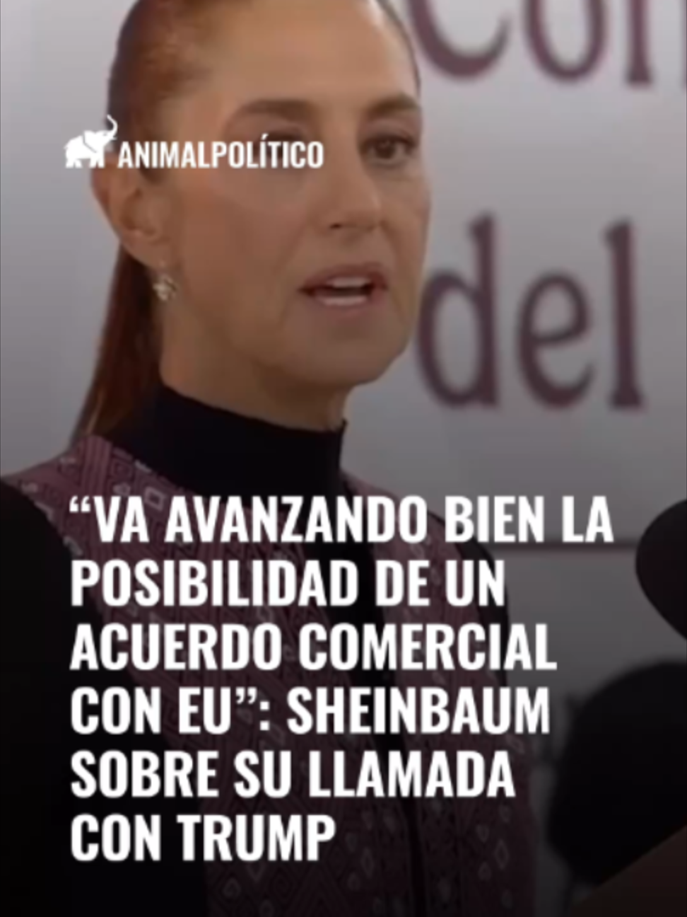 @animalpoliticomx