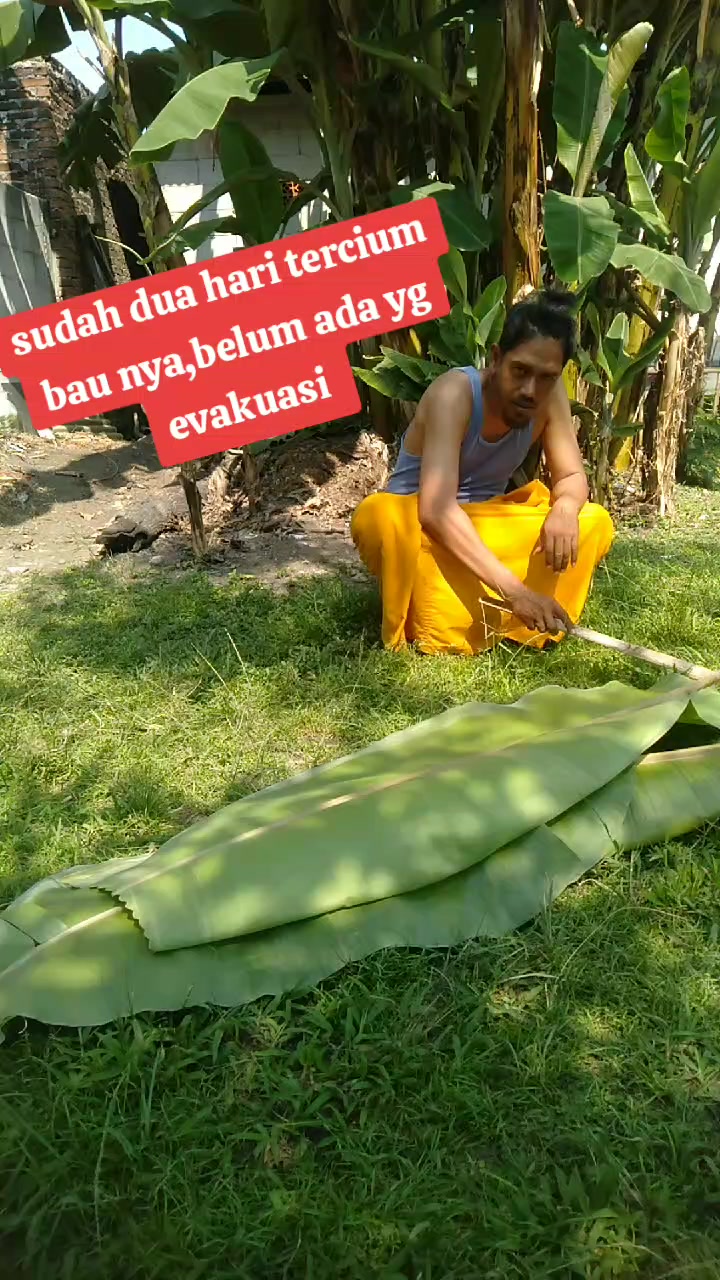 @@dulkemin