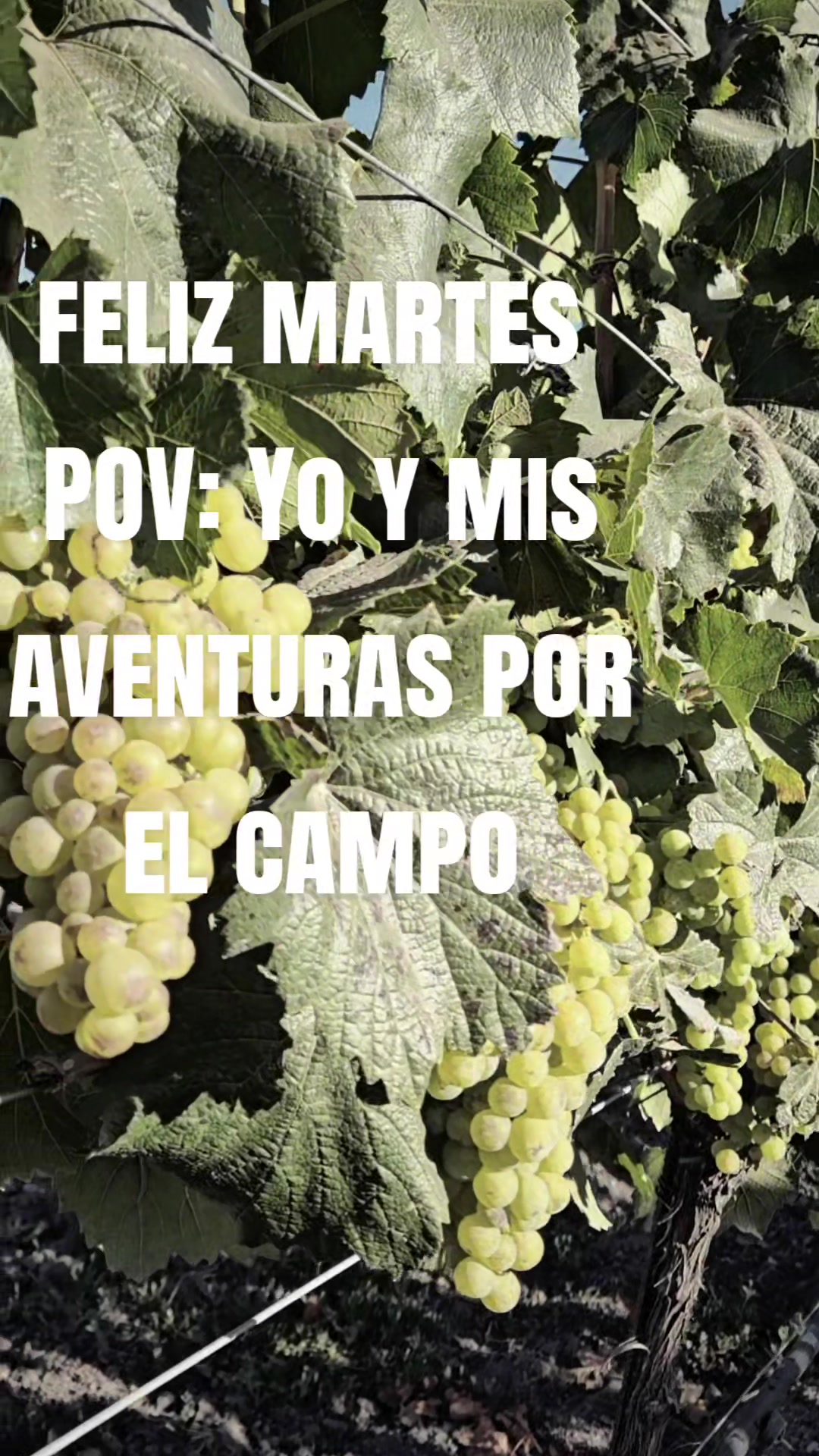 @Catalina Alvarez