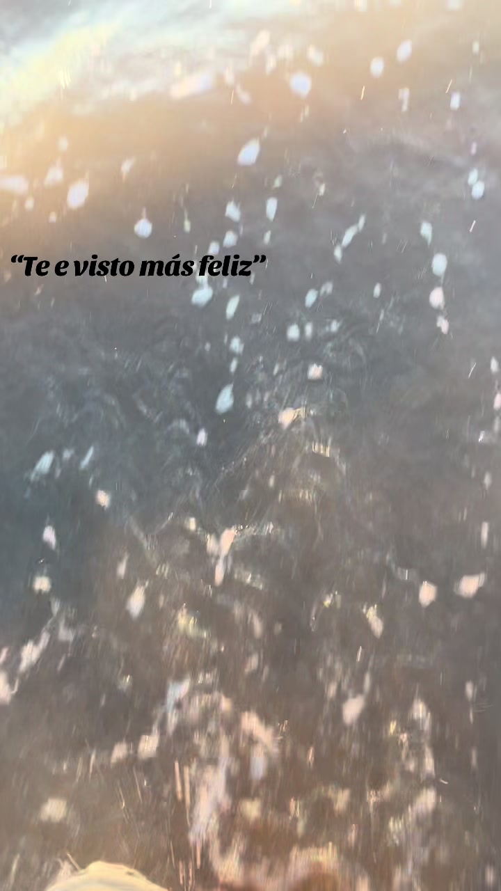 @Tus compartidos😀