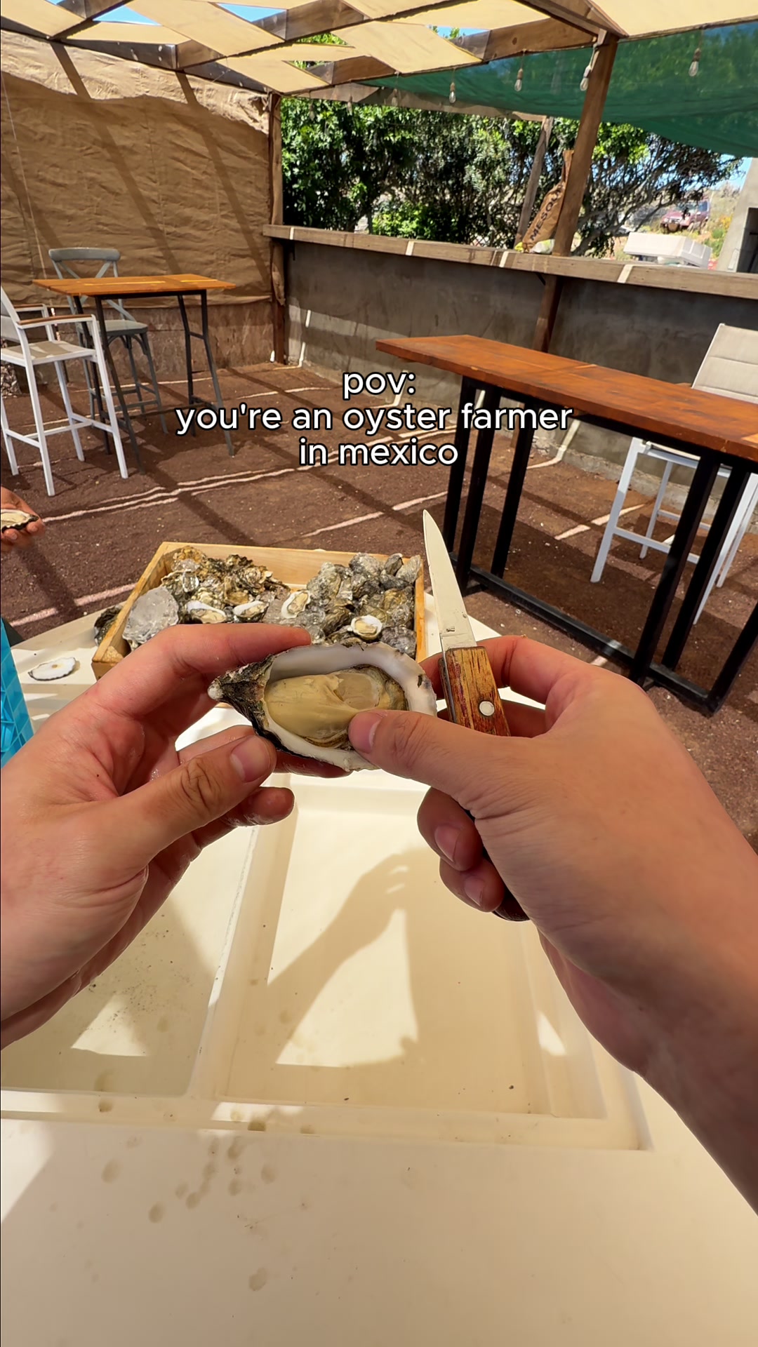 @stevenmotocooks