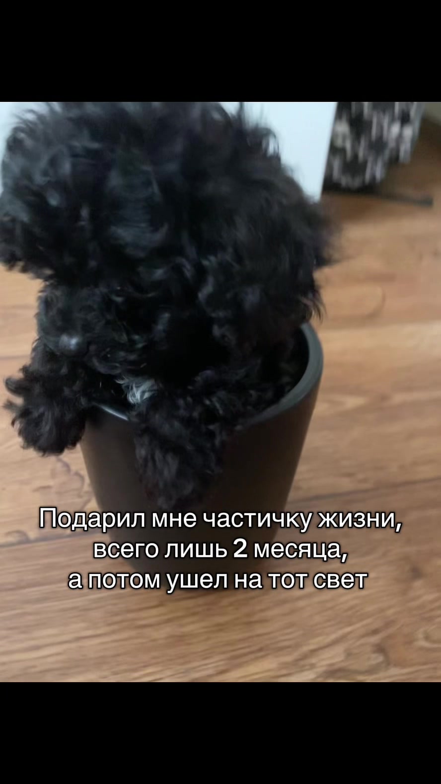 @лиза