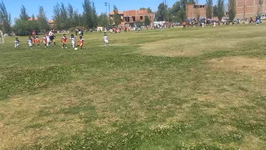 @Carmen Rosa mamani