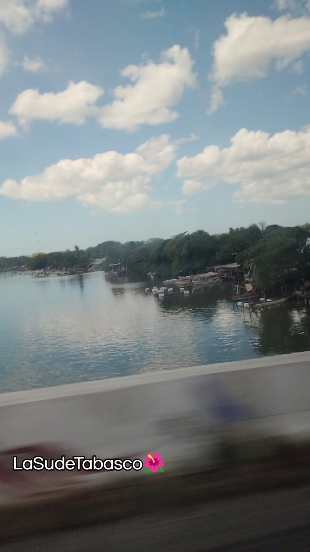 @🌺 LA SU DE TABASCO 🌺 💞