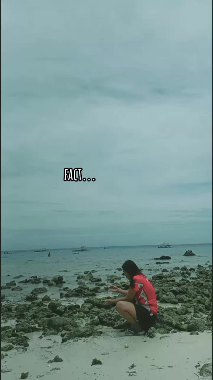 @✨