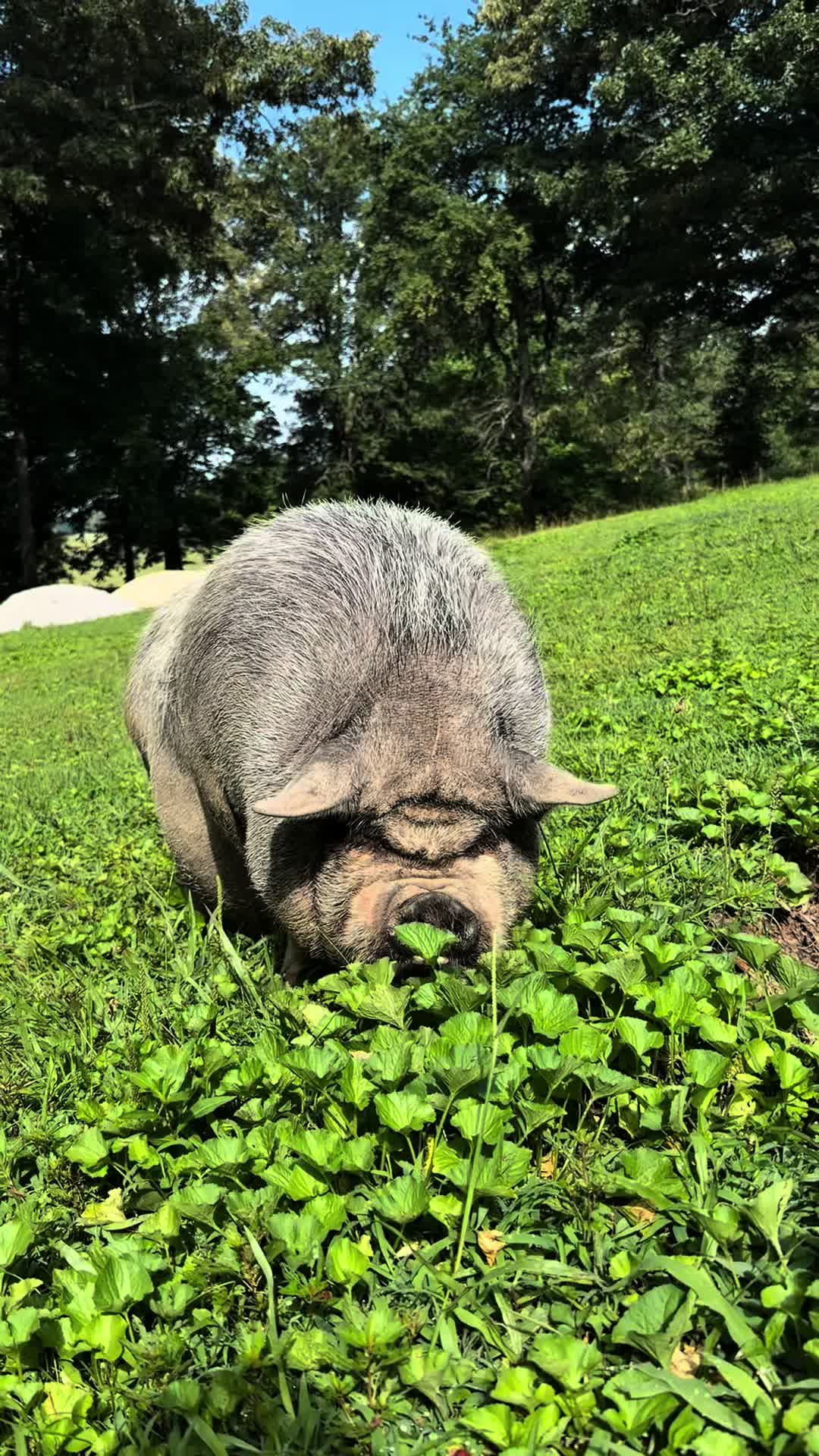 @👨&zwj;🌾Frank Martinez🧑&zwj;🌾🦊🩵💛