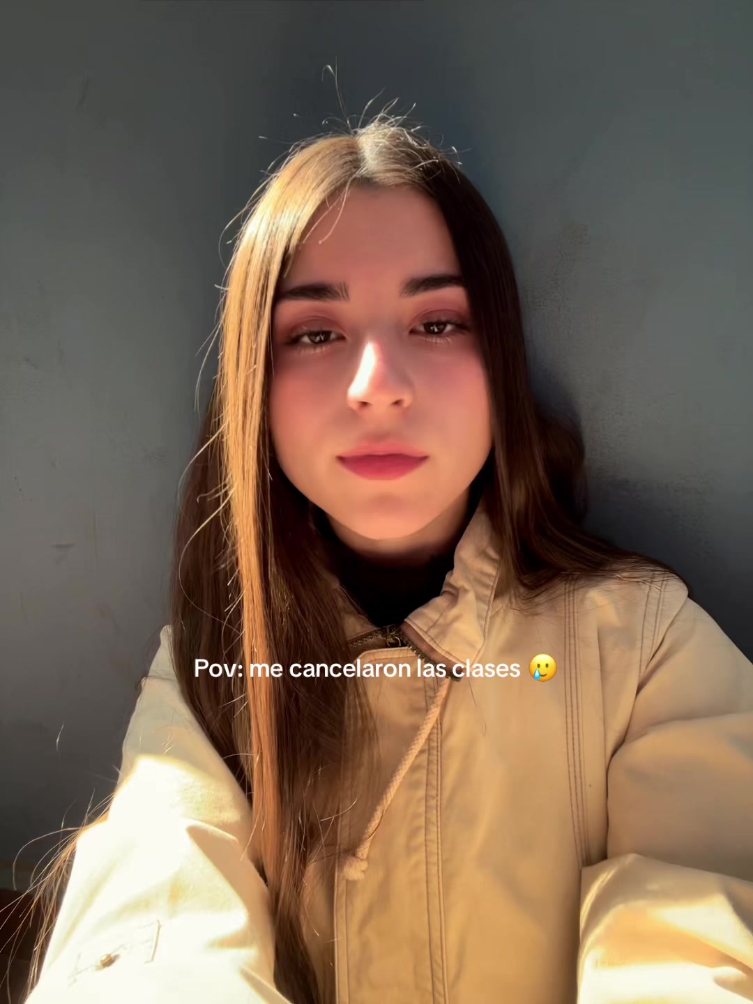 @ailu.iv