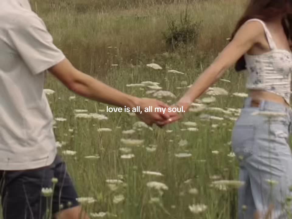 @⋆ ˚。⋆୨ ʚɞ ୧⋆ ˚。⋆ (fan acc)