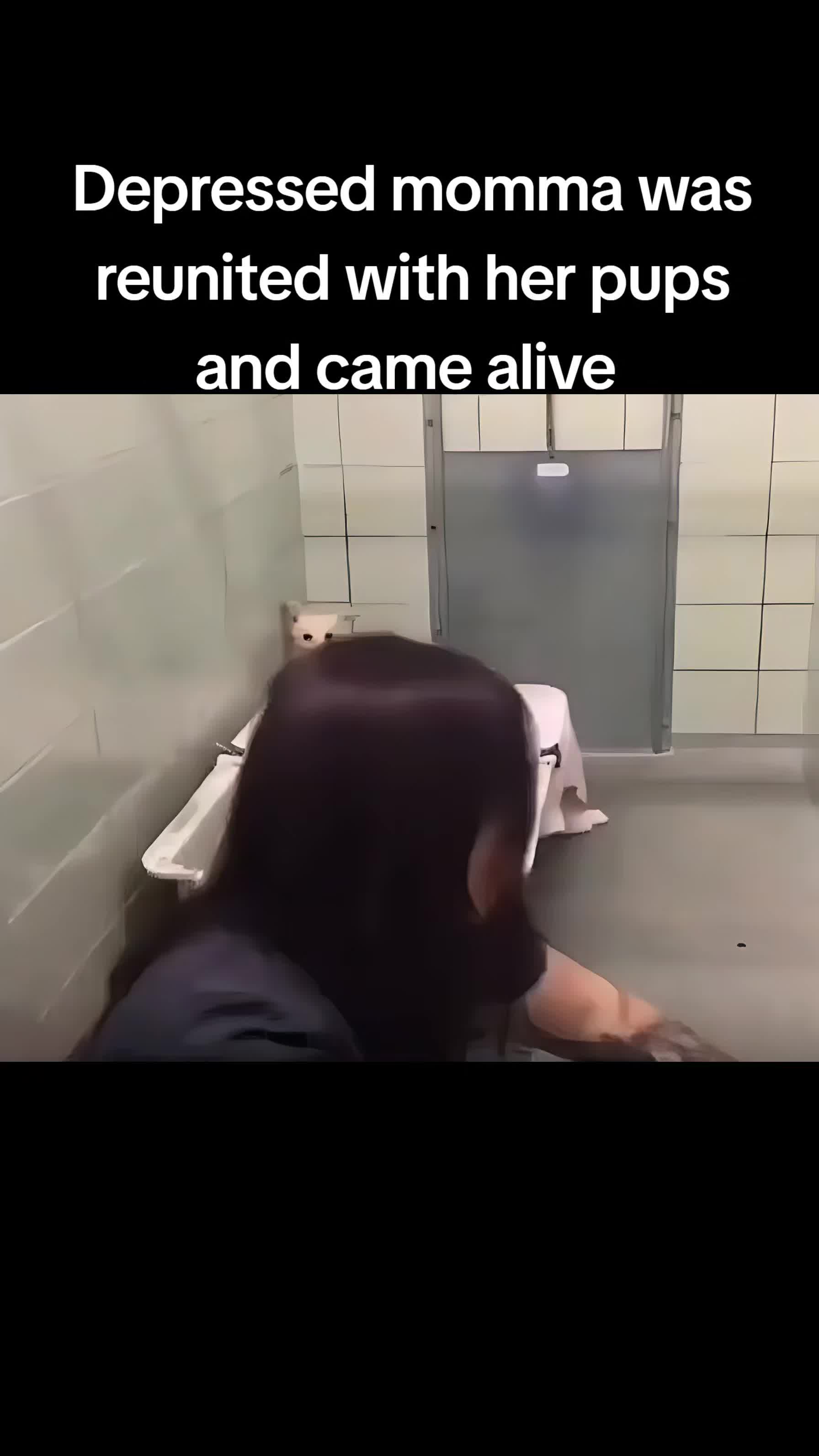 @Wheems