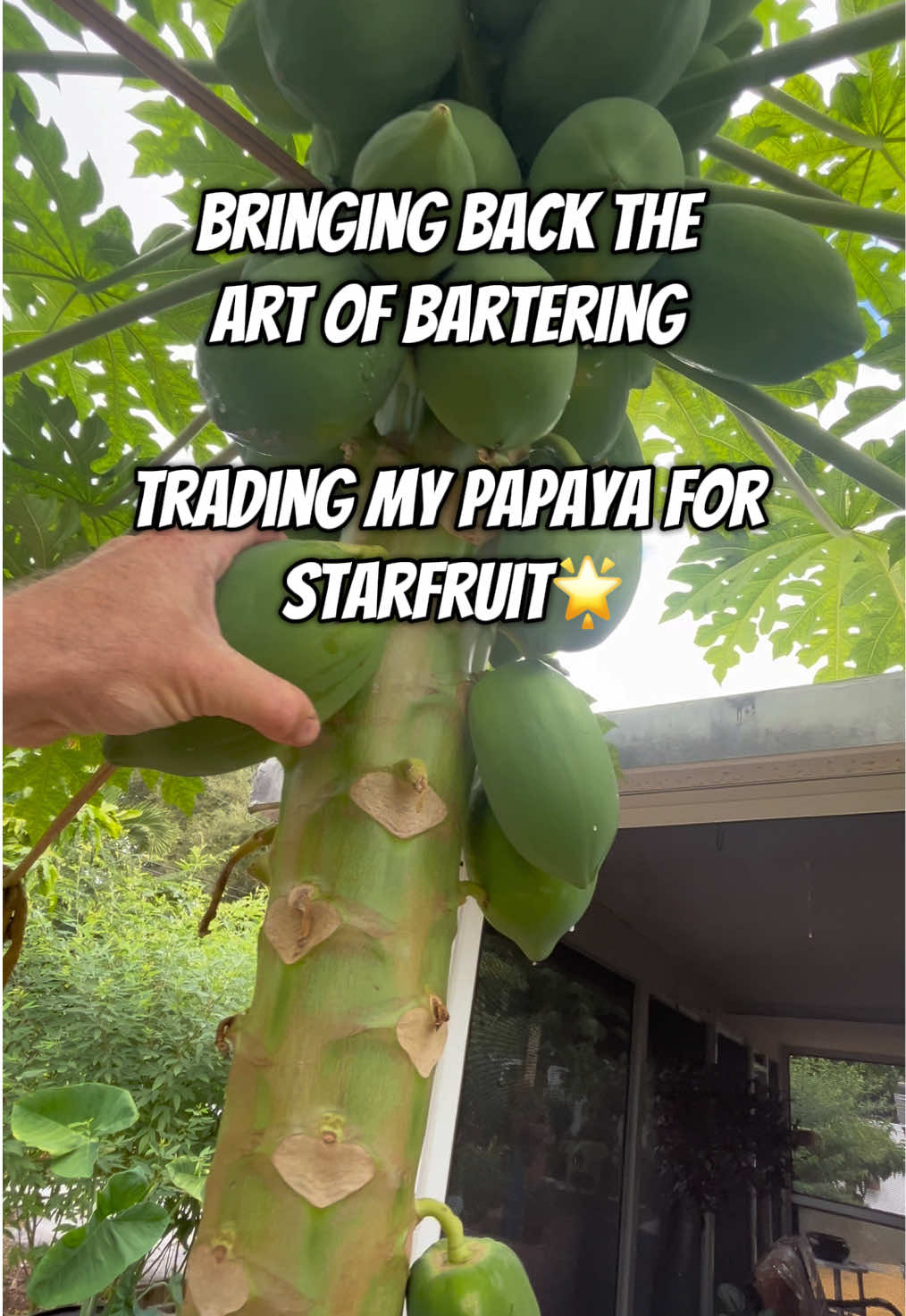 @St Pete Barter & Trade