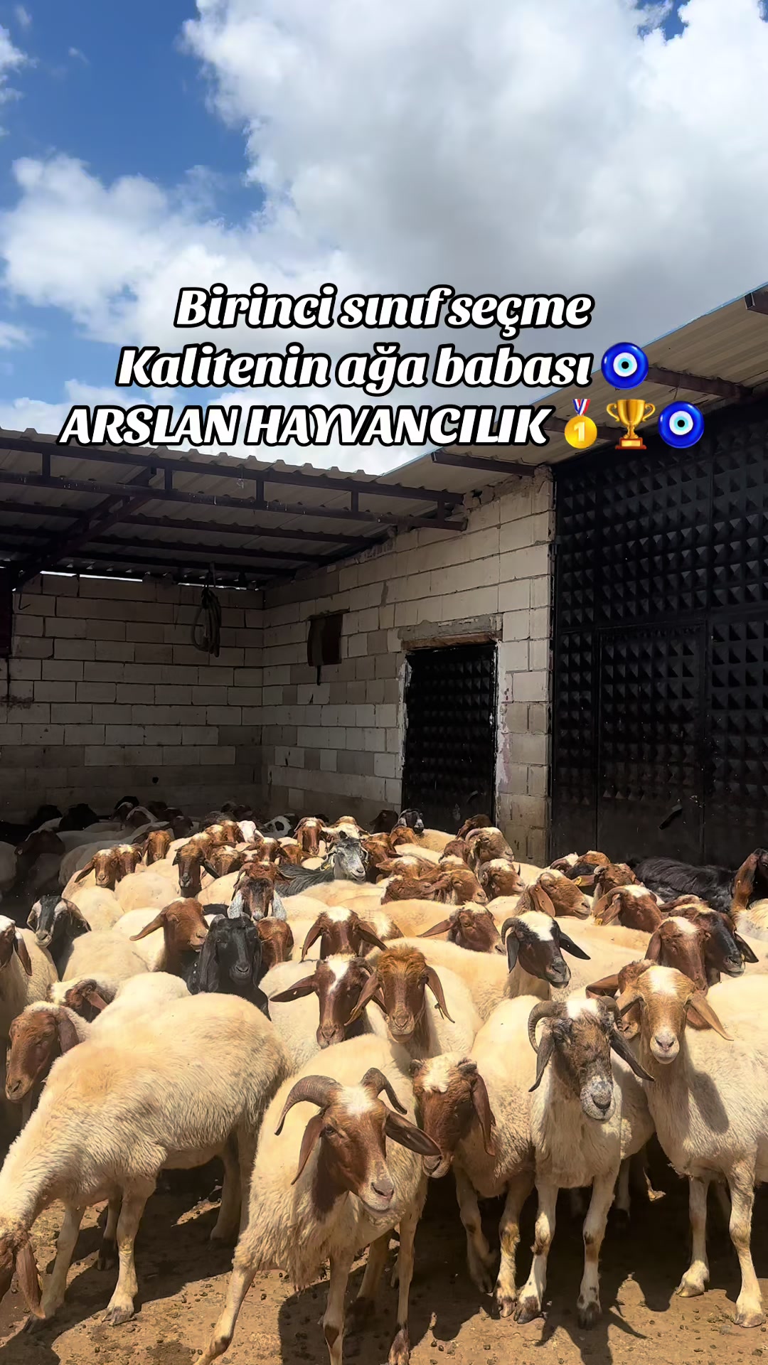@cuma_arslan027