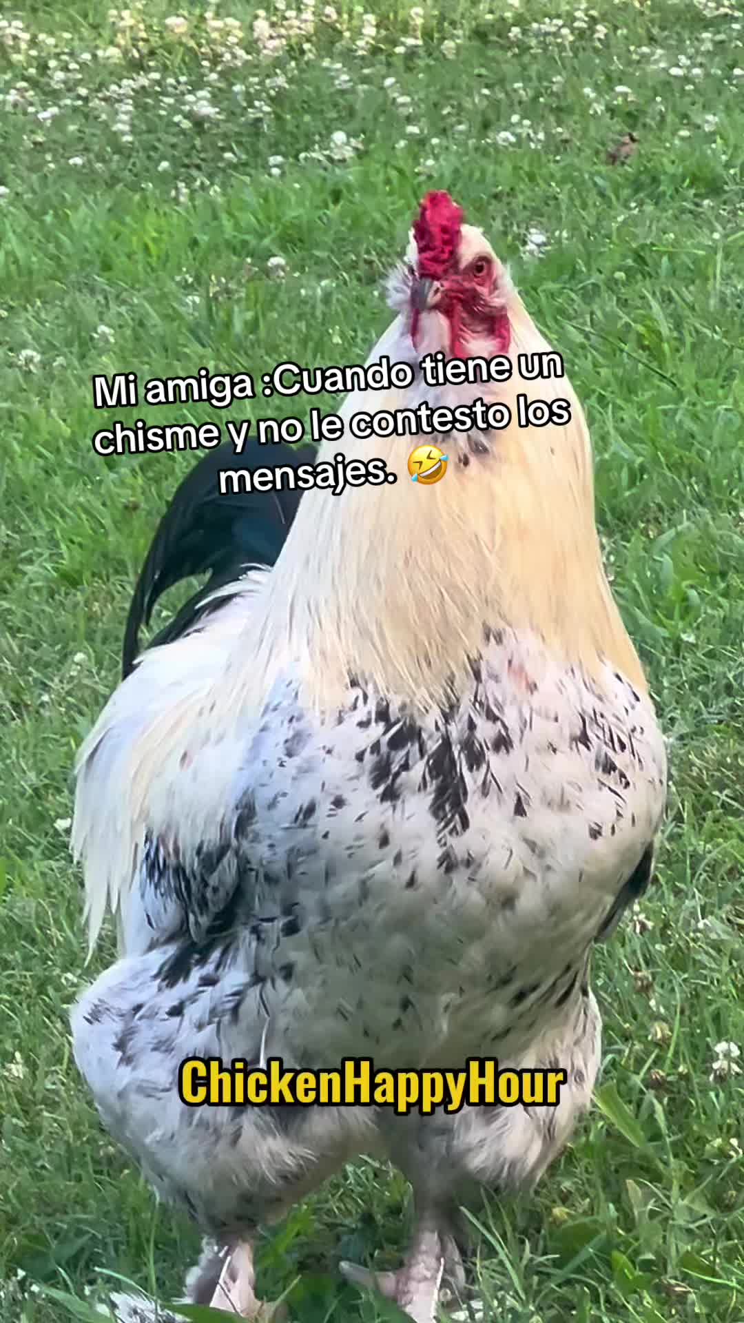 @Cristina