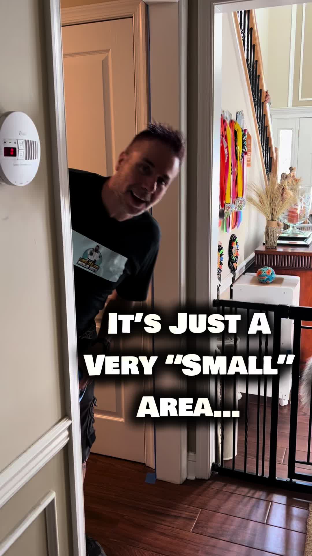 @Long Island Mold Guy