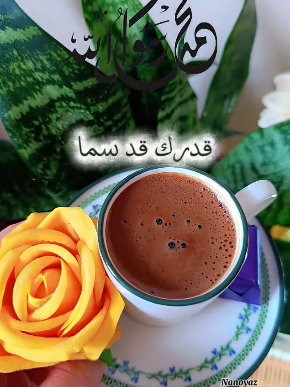 @โ๐ต๐๐๐๐๐๐โ