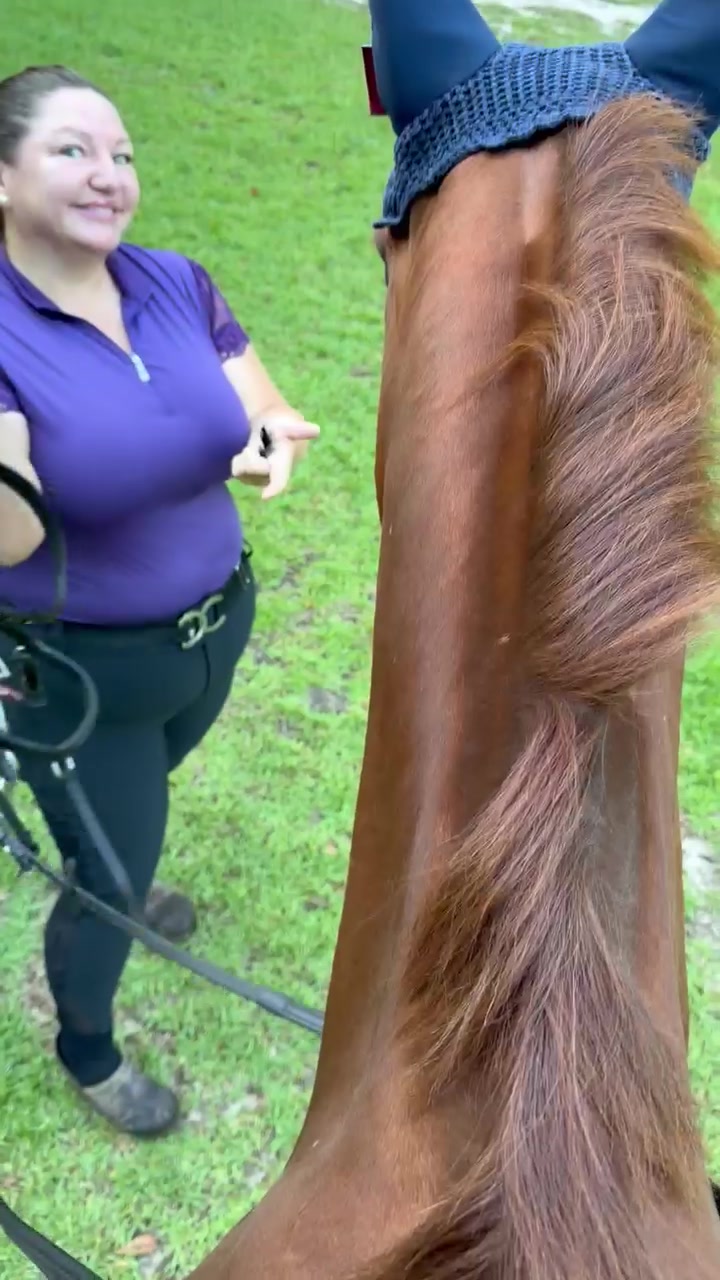 @MindsetEquestrian