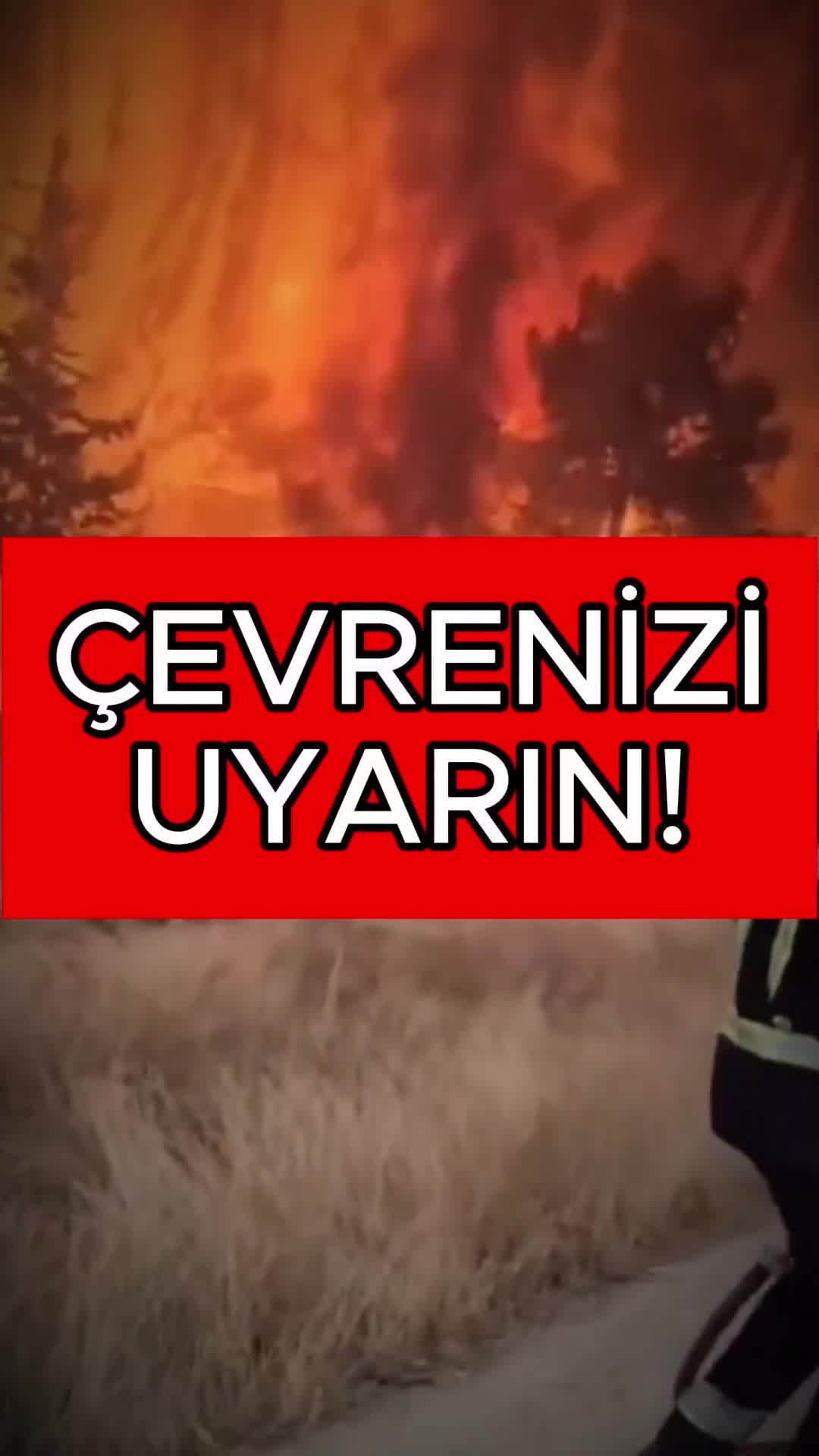 @Havadar