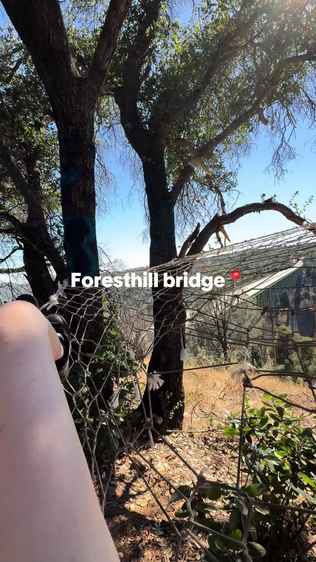 @Angelina