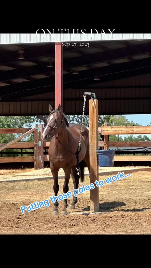@Freedom Equestrian Center