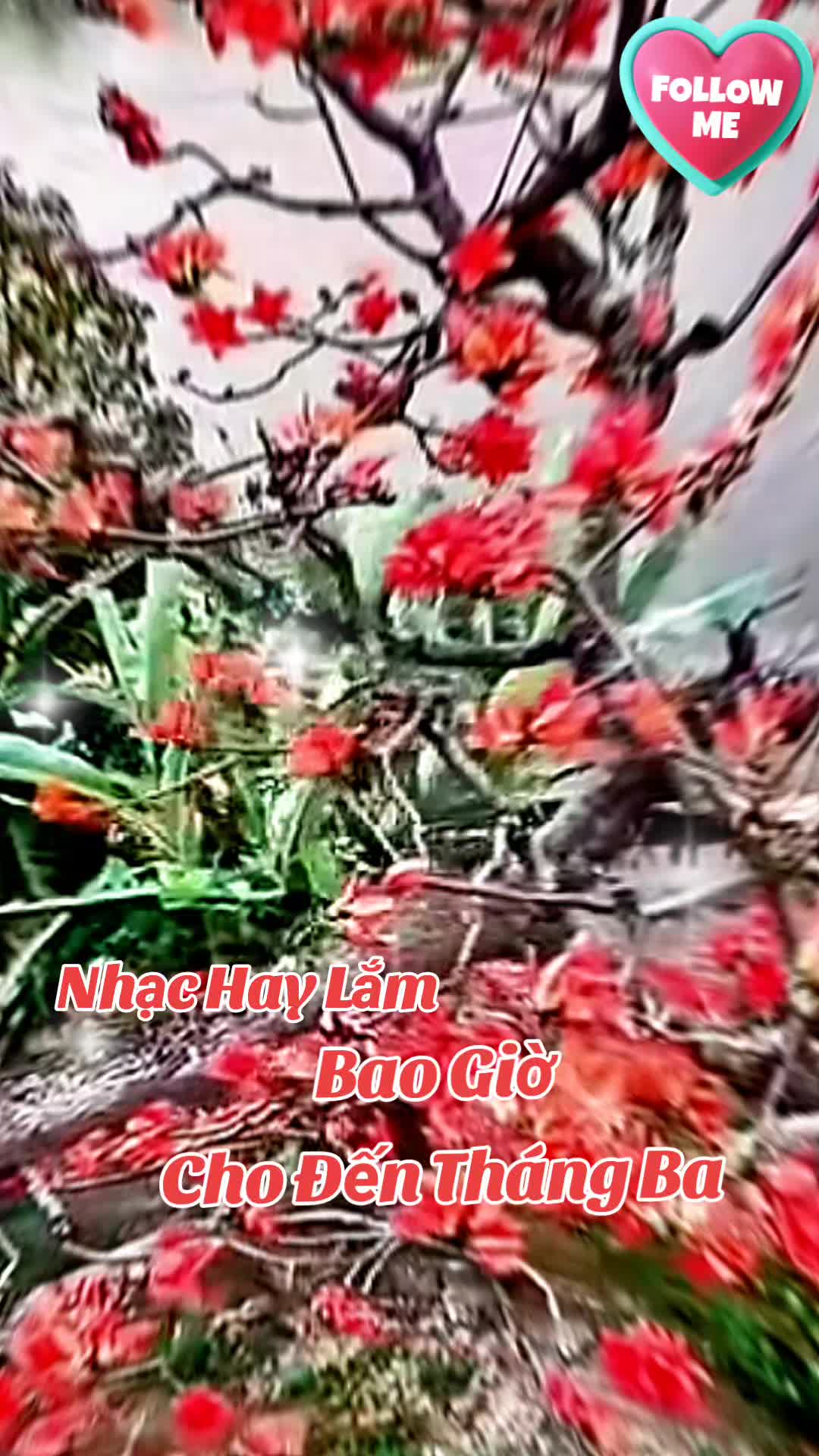 @shop công nghệ21