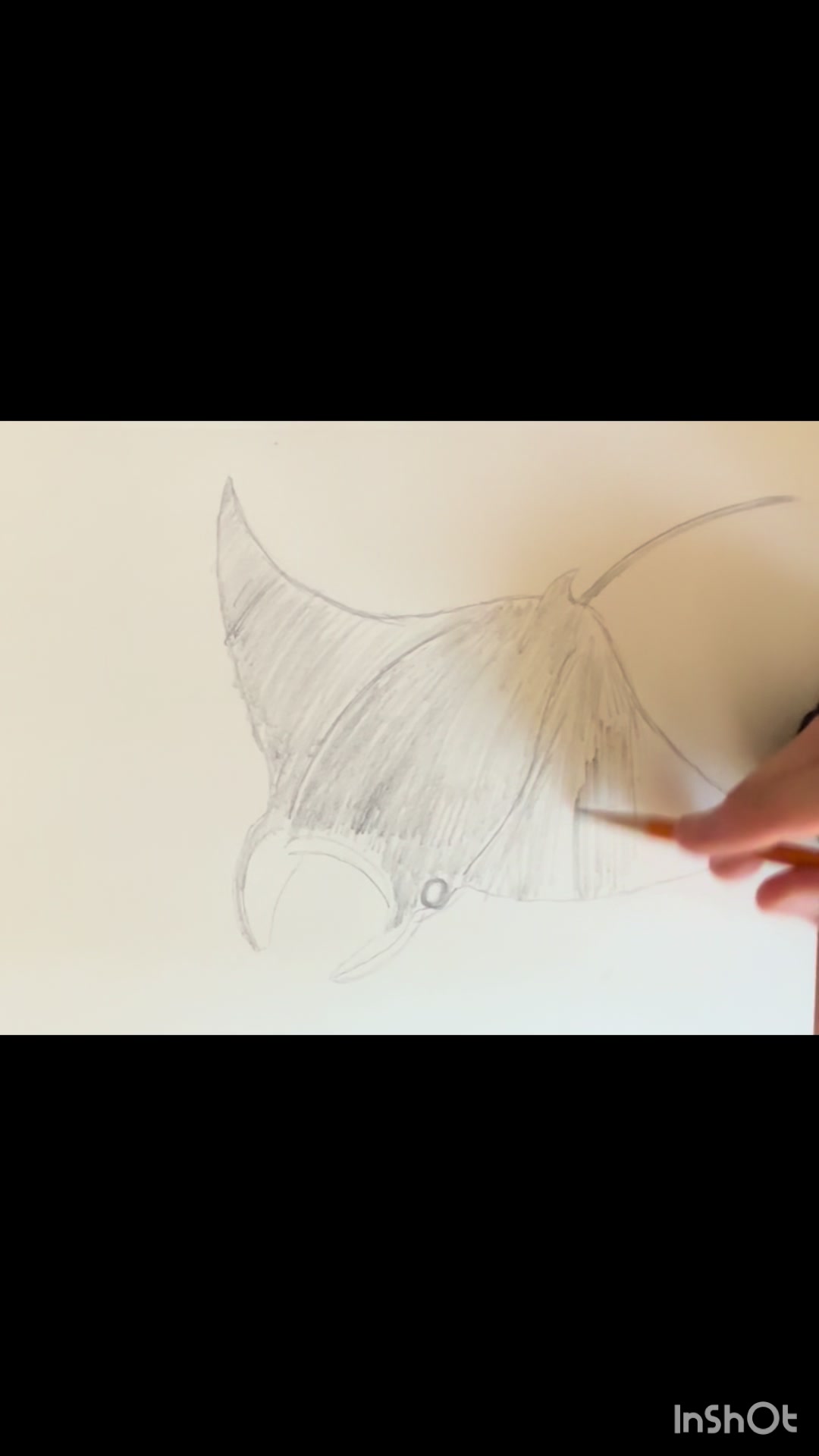 @dougsanimatinanddrawings