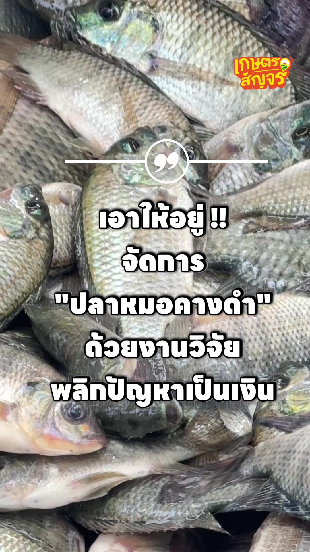 @เกษตรสัญจร