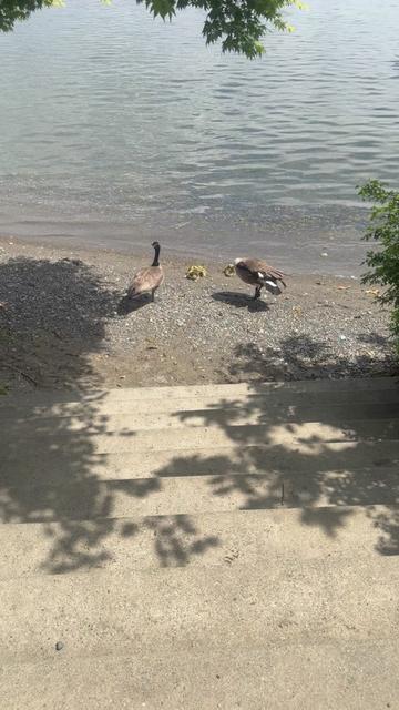 @🦅Carmen Hernández🇬🇹🎣