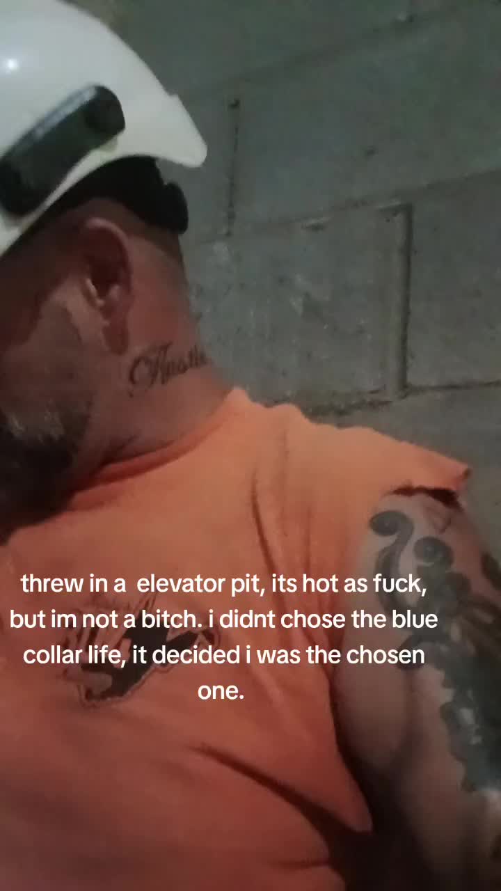 @the pitbull