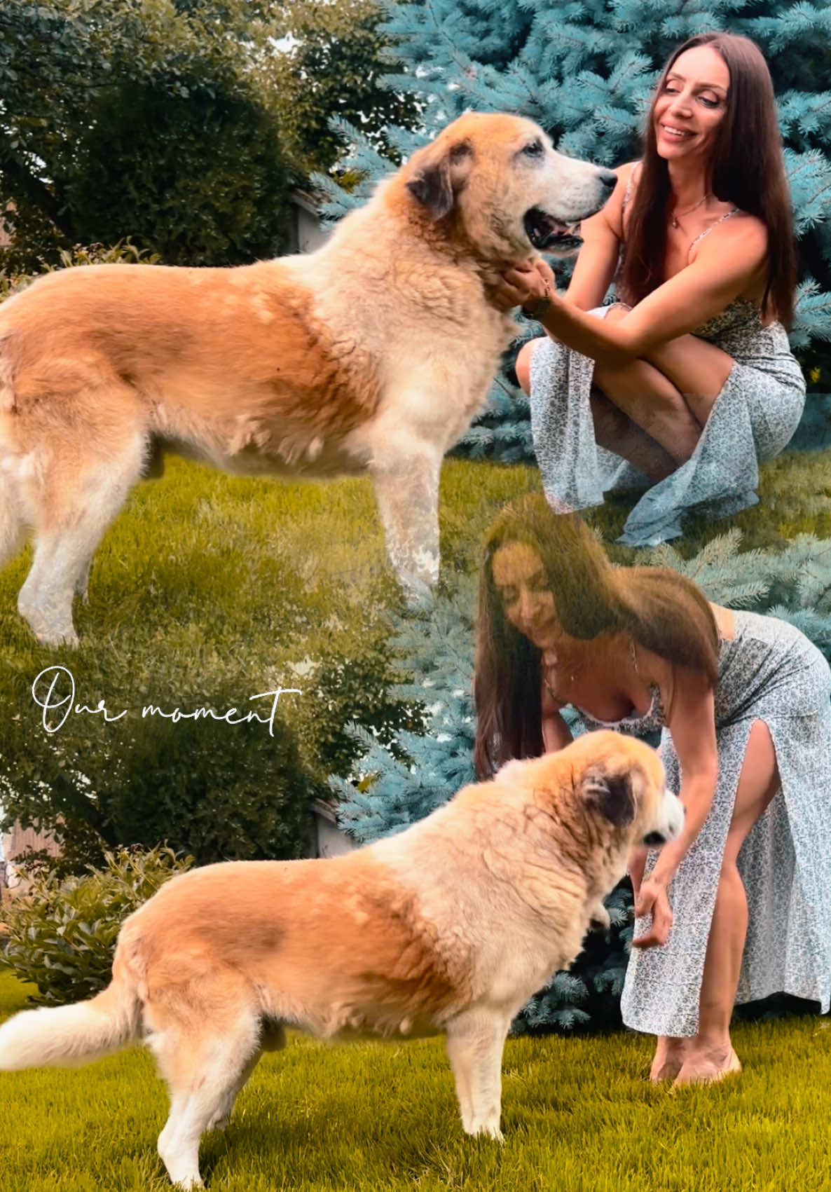 @_𝓝 𝓪 𝓽 𝓪 𝓵 𝓲 🌾