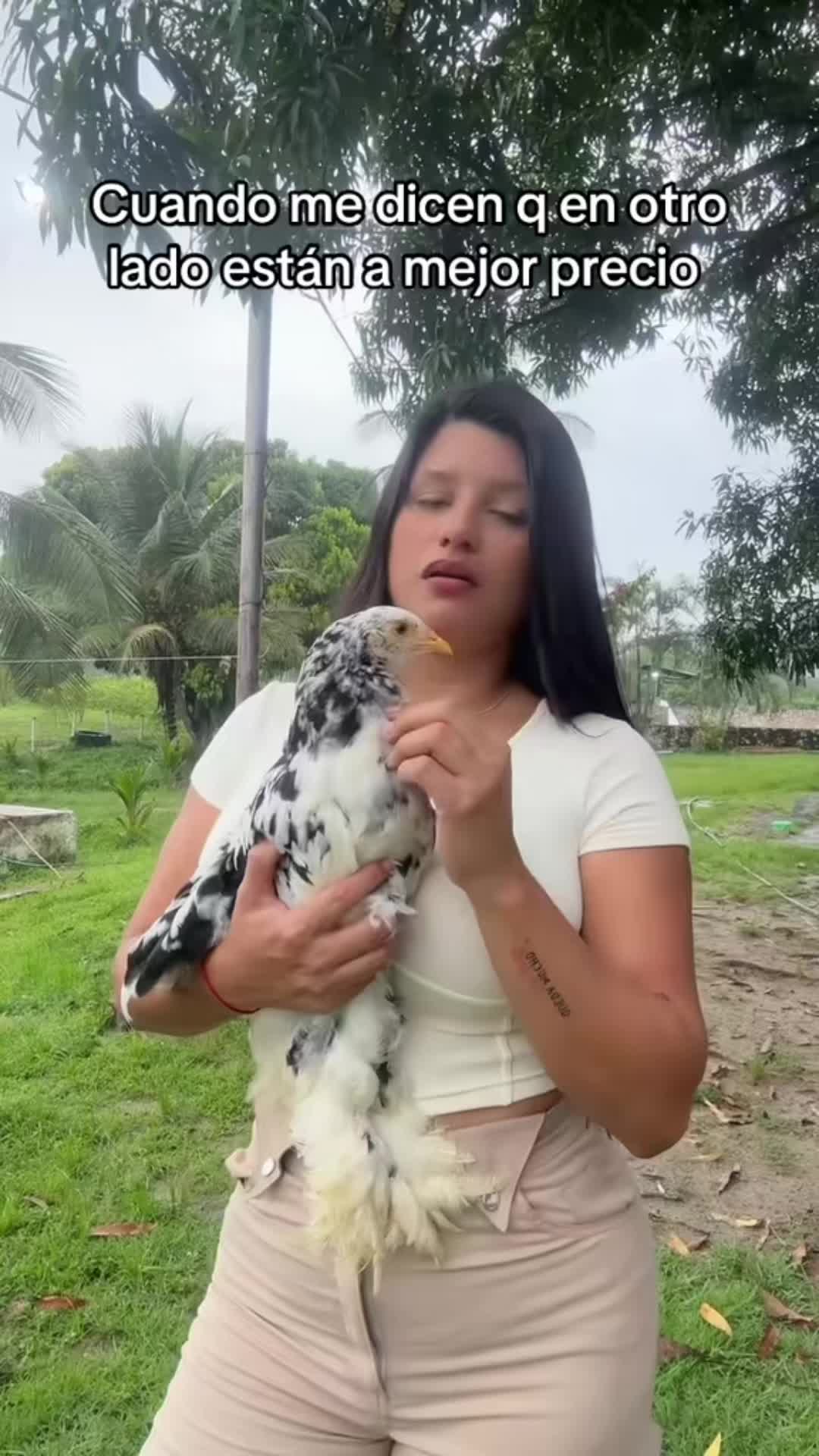 @Granjamascotalandiayaracuy