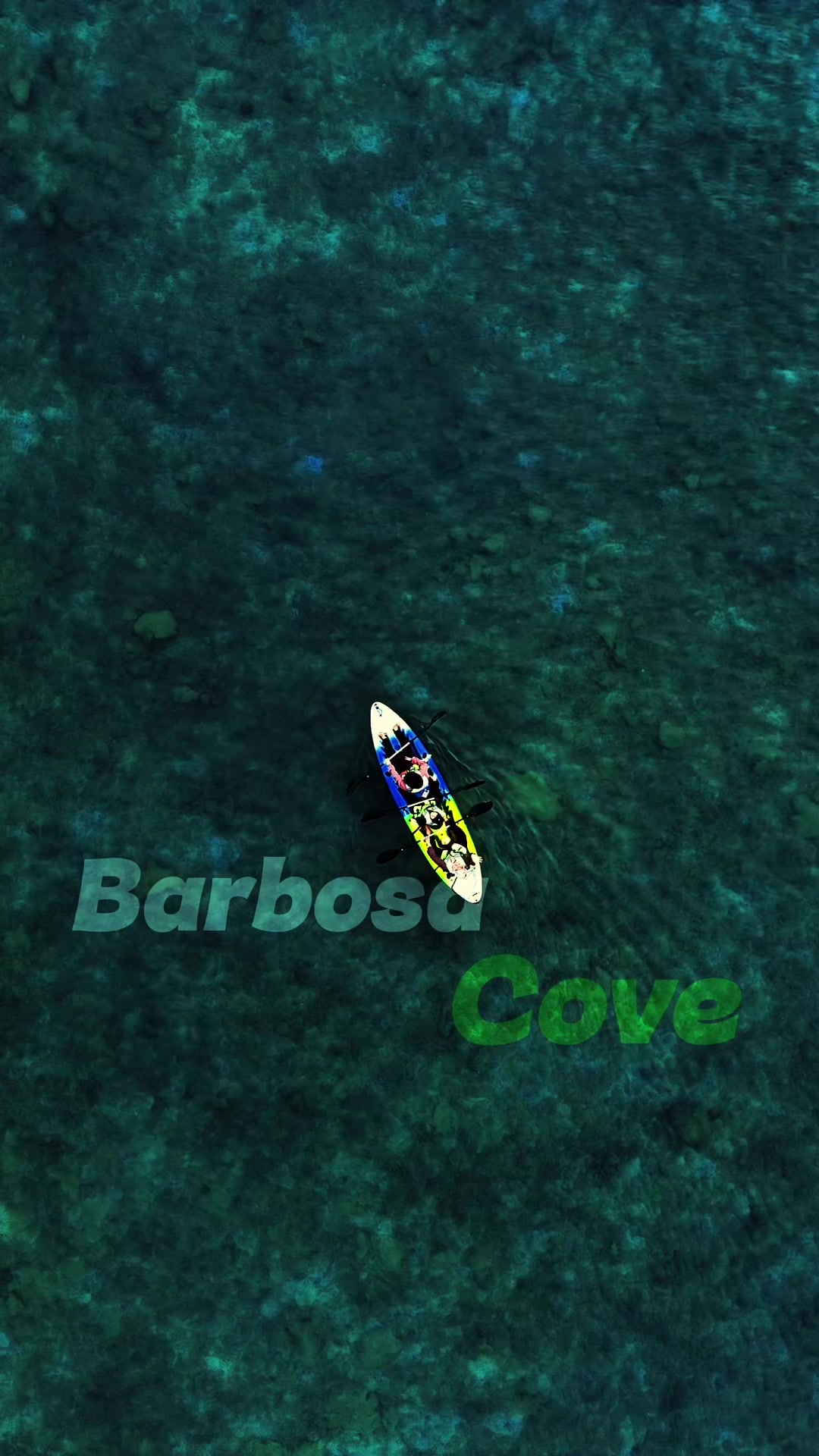 @barbosacove