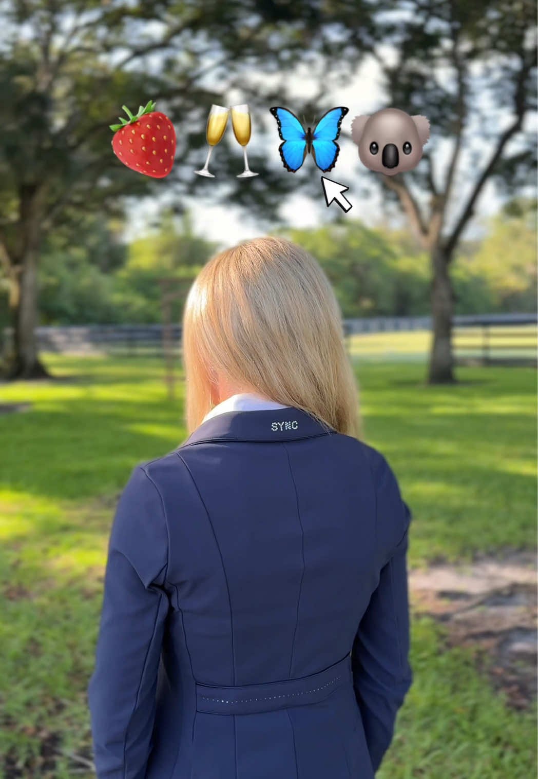@Sync Equestrian