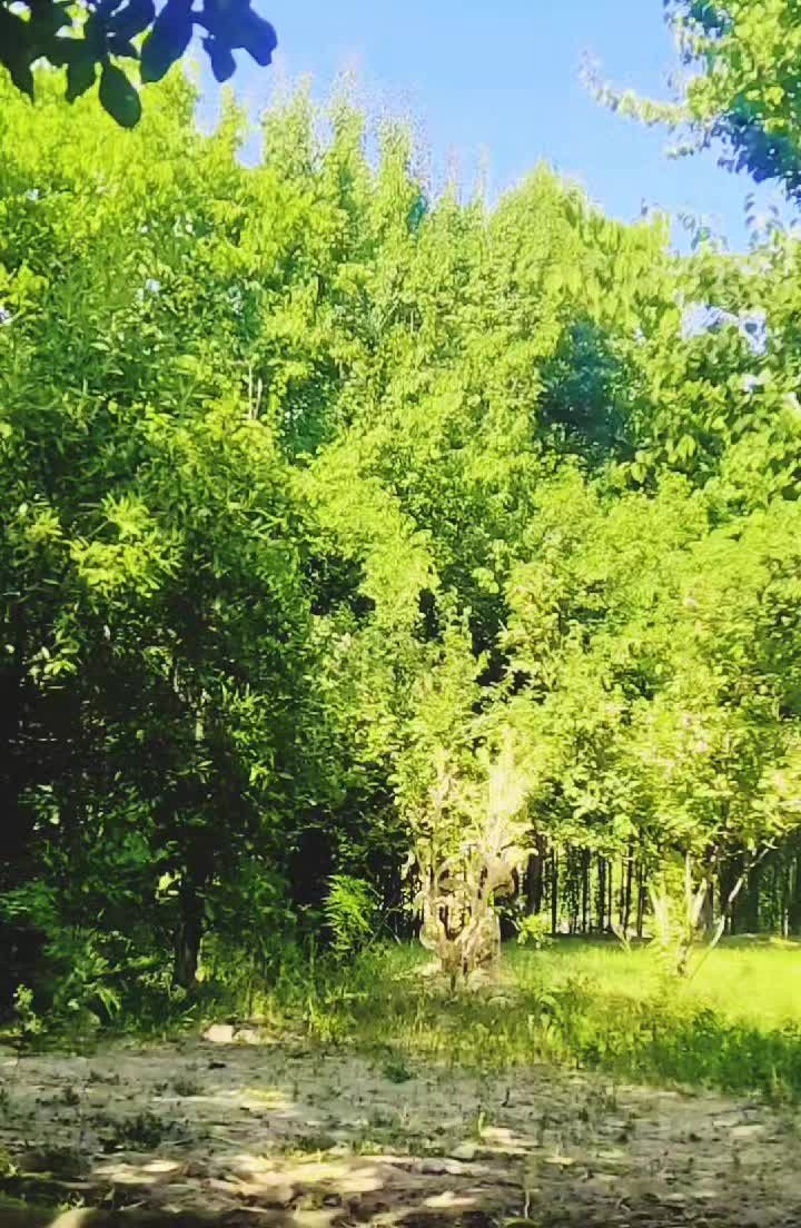 @𝐒𝐇𝐀𝐁𝐄𝐄𝐑 4𝐊