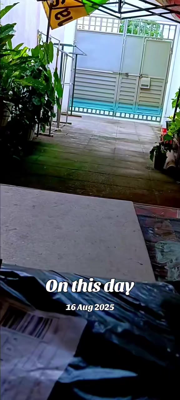 @eLvisB