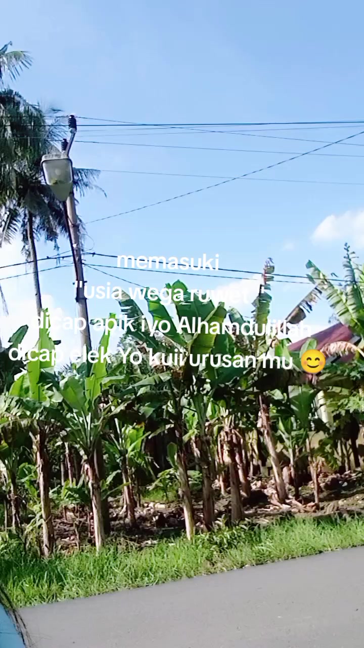 @tira 🥀