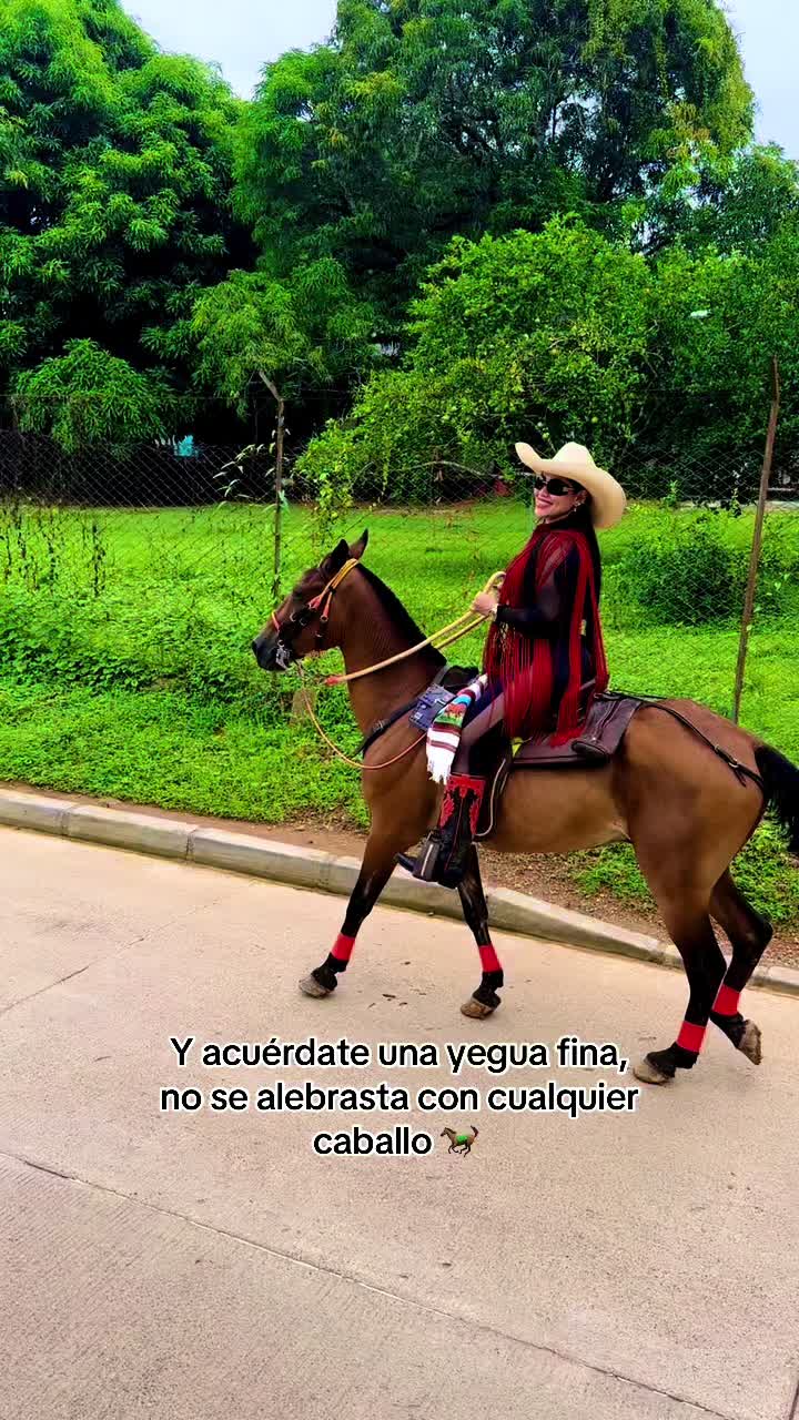 @🦁Aurimar 𝓚𝓹⚖️🦁