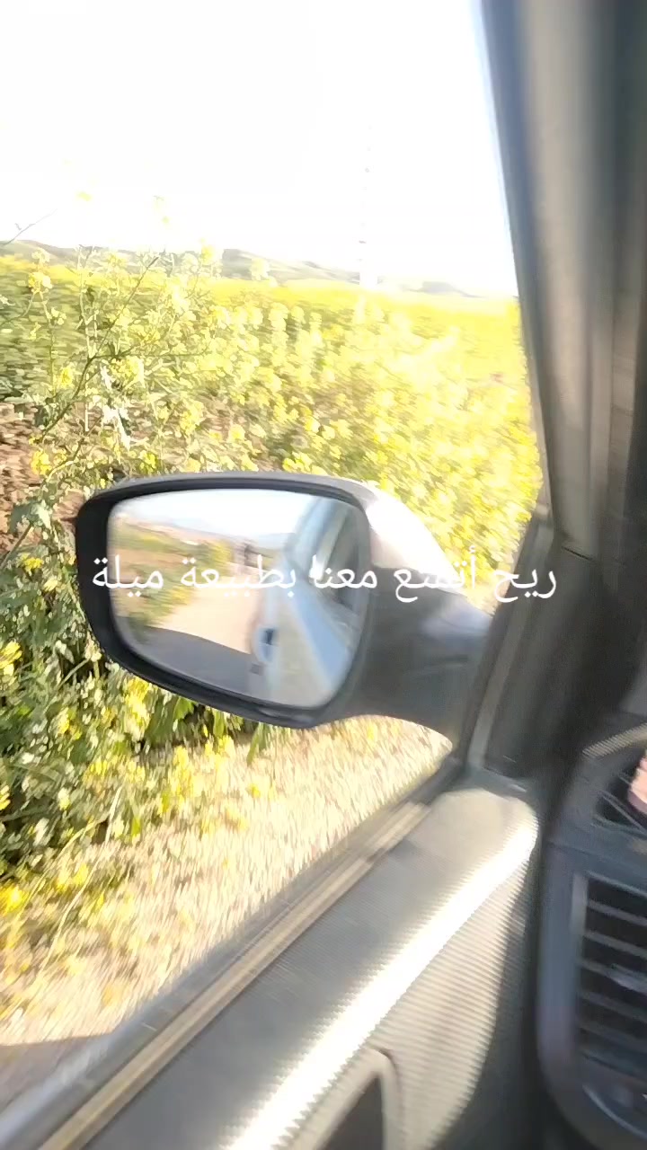 @Zaki Nounou