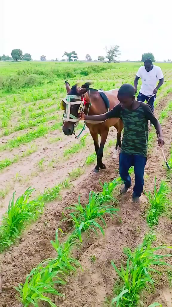 @Beugué Macky Sall