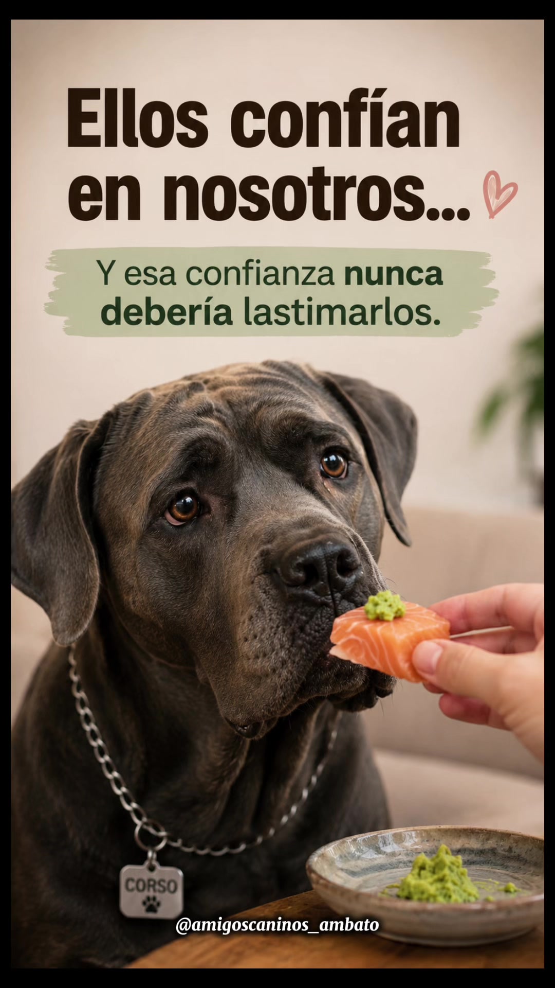 @Amigoscaninos_Ambato