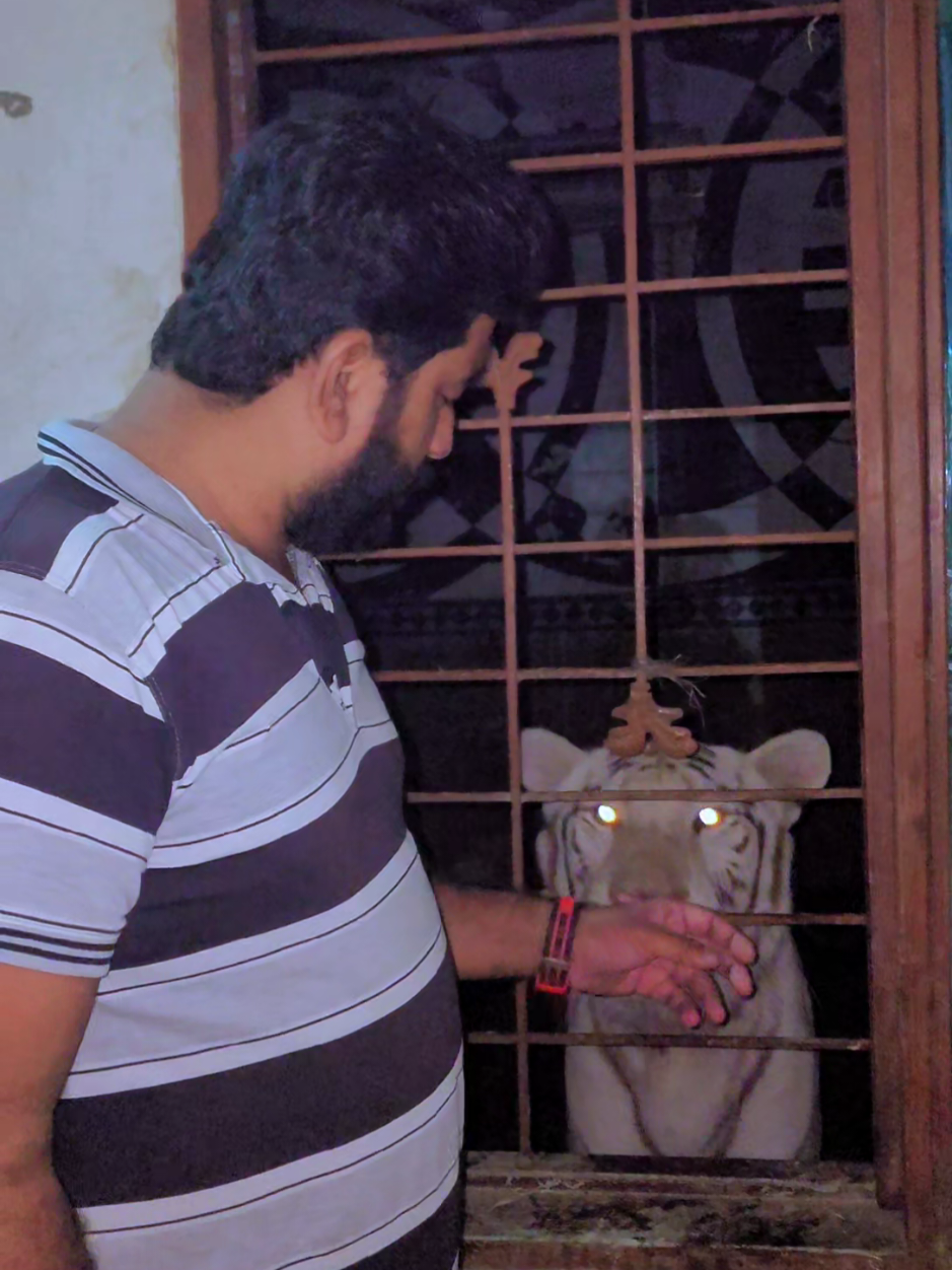 @RehAn