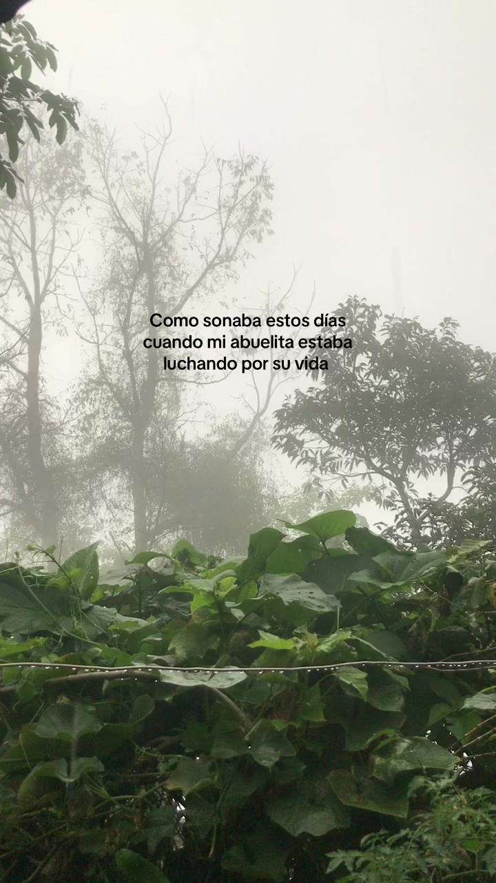 @Salvador🫶🏽