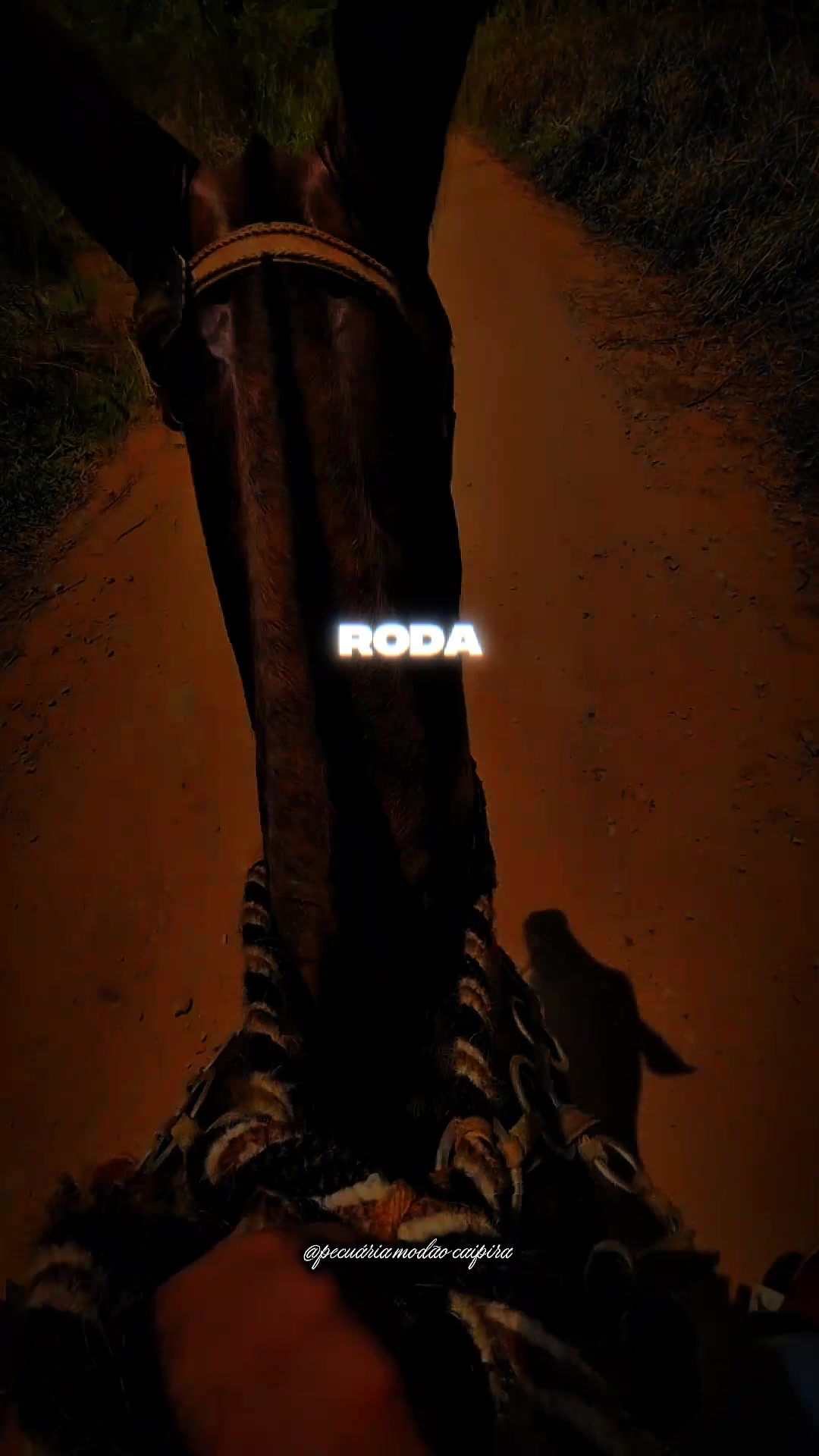 @pecu&aacute;ria mod&atilde;o caipira