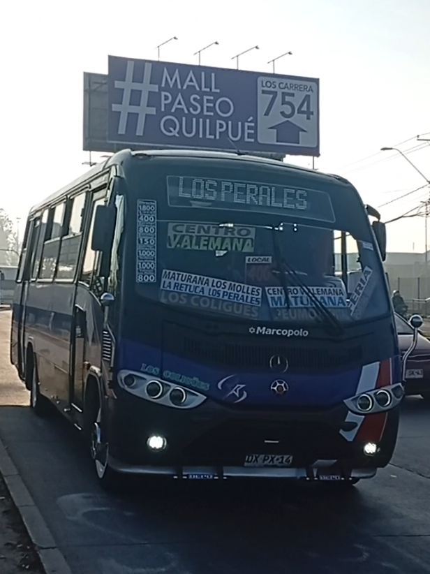 @busologia_wasabi
