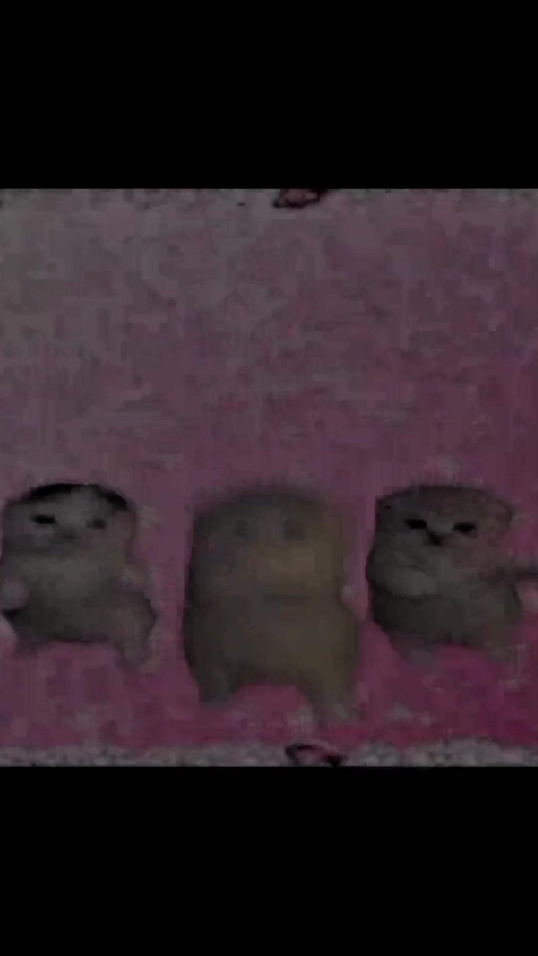 @๐ฎ๐๐๐ ๐
