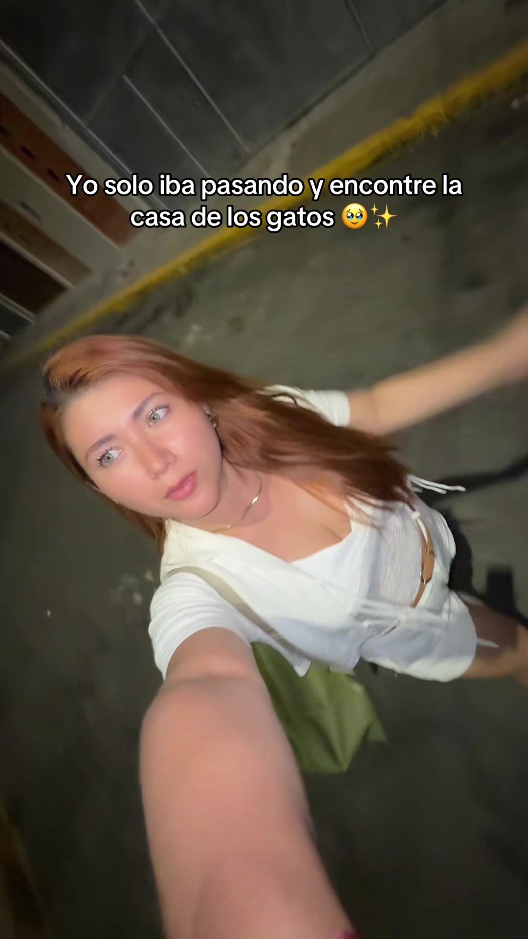 @Gress 👩🏻🦰 |La gata viajera