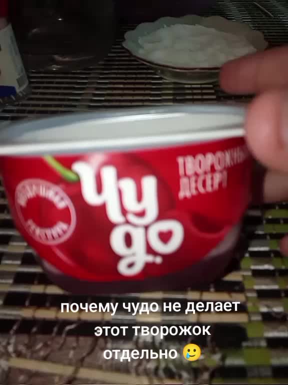 @ритоша.👎🏻